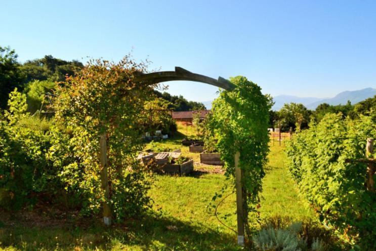 La Voureyline Bed and Breakfast Saint-Antoine  Buitenkant foto
